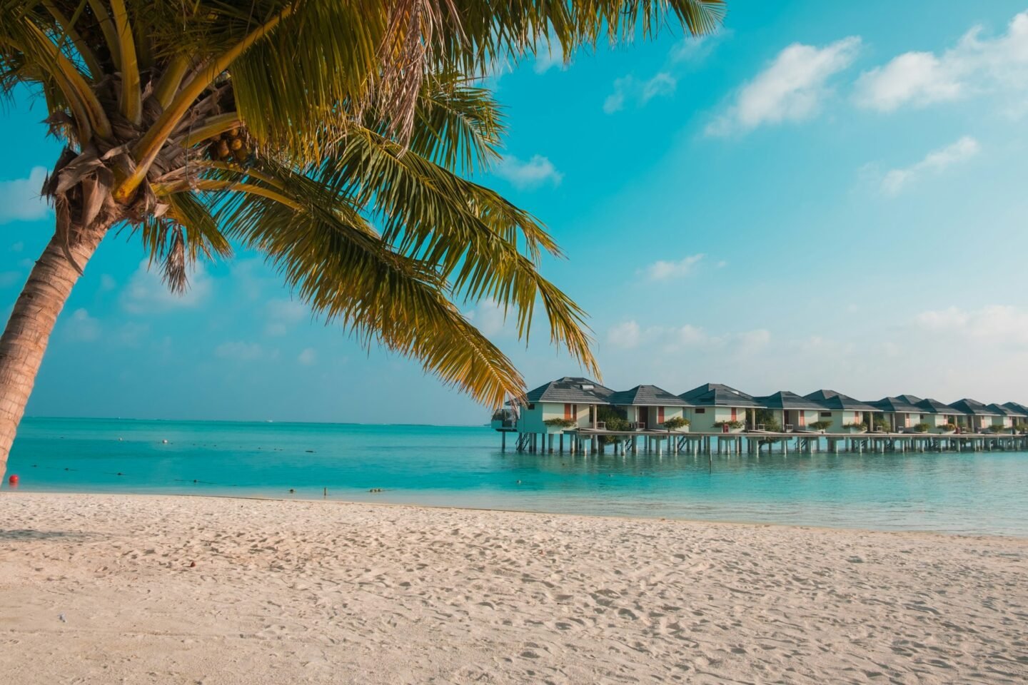 sandy beach in the maldives e1730011271322.jpg