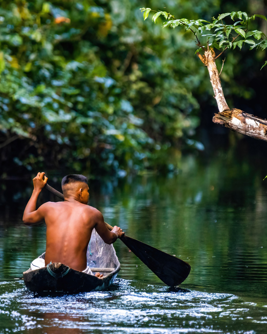 Long-term support for the tribes