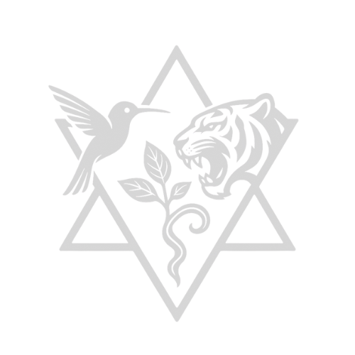 diseño sin título (54)